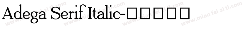 Adega Serif Italic字体转换